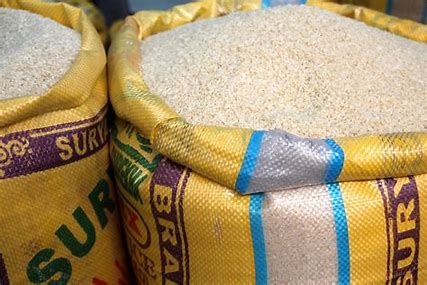 Rice